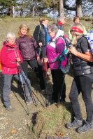 Paula, Paula, Rita, Maria, Renate, Regina Herbstwanderung KAC Dornbirn 2019